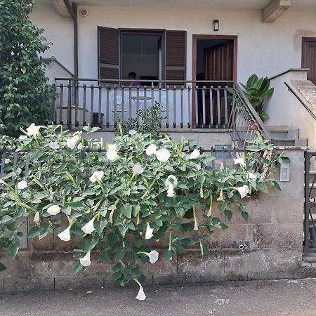 A Casa Ida Διαμέρισμα Bagnoregio Εξωτερικό φωτογραφία
